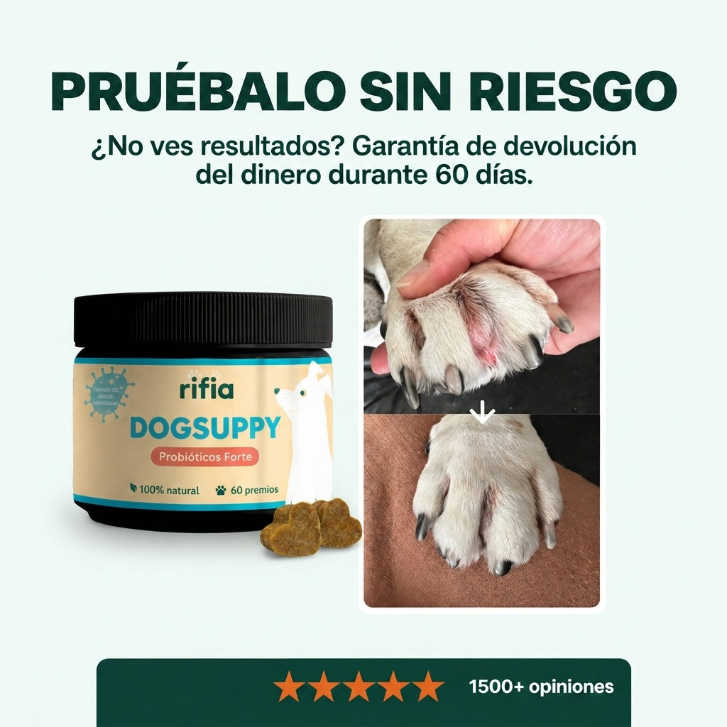 DogSuppy Rifia 6