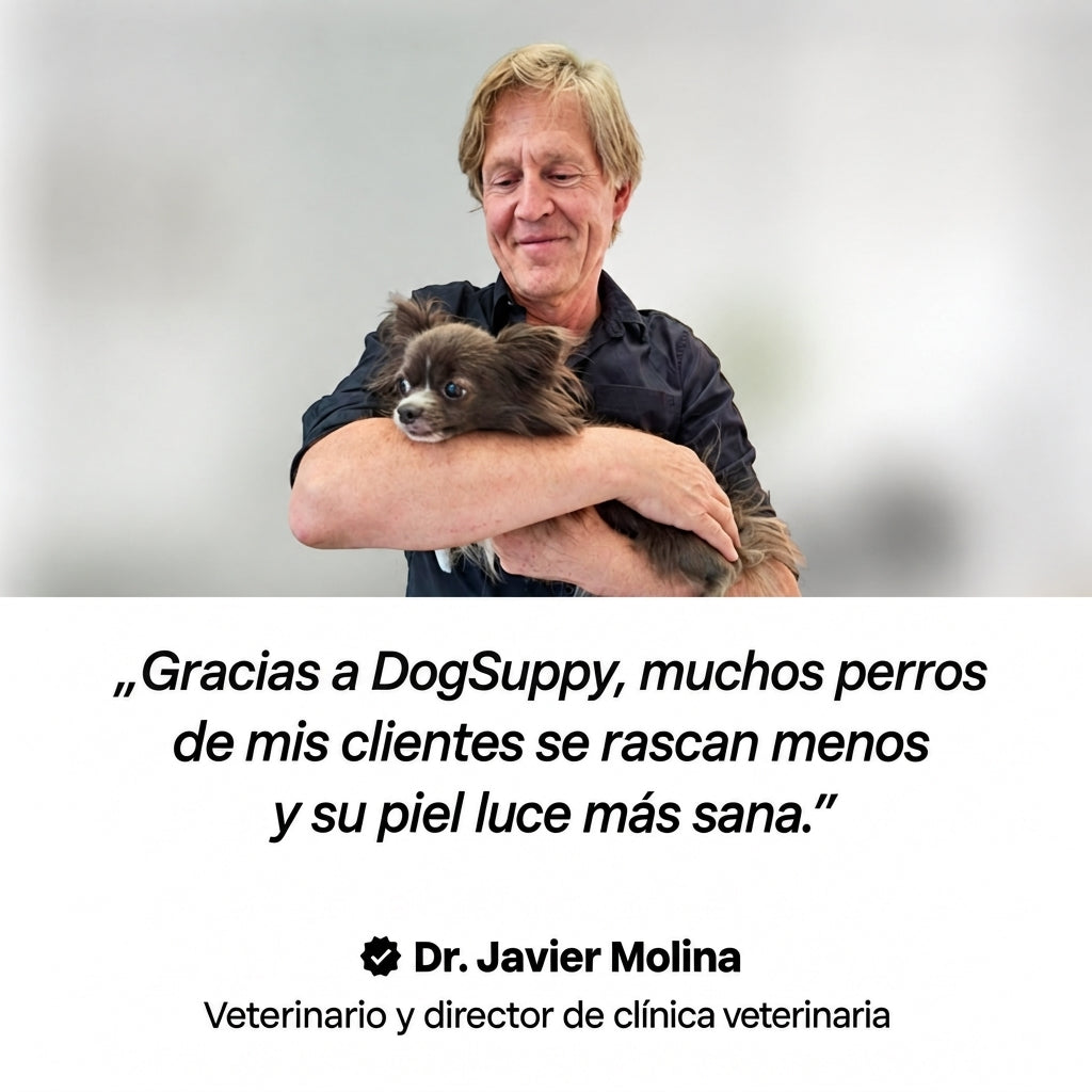 DogSuppy Rifia 2